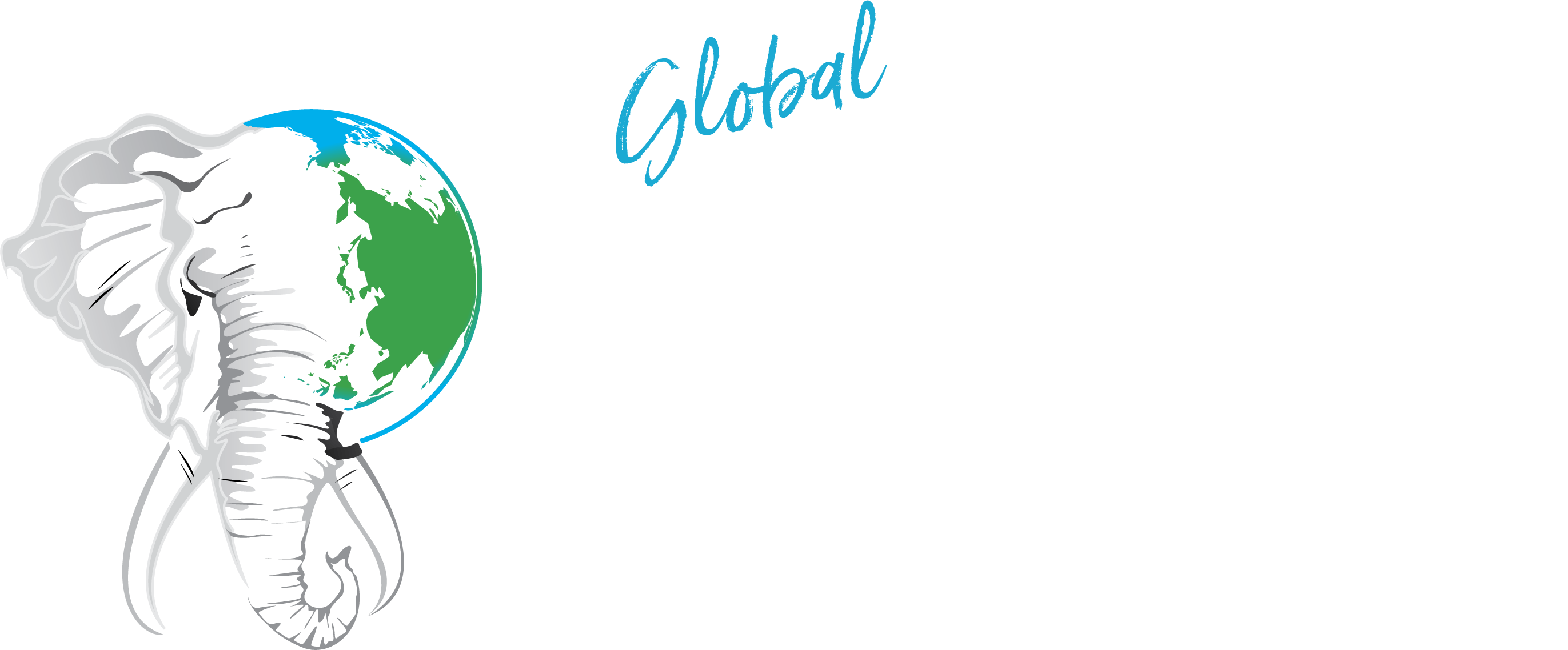 飞行艇官网开奖直播168体彩-全国飞艇查询结果数据-官方幸运飞行艇历史开奖记录 World Animal News